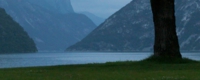 sogne-005.jpg