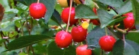 sogne-010.jpg