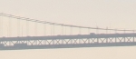 sf-bri-1.jpg