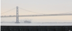 sf-bri-3.jpg