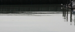 sf-bri-4.jpg
