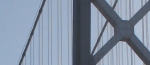sf-bri-8.jpg