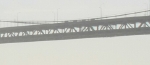 sf-bri-10.jpg