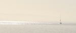 sf-bri-19.jpg