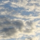 ca-vi-018.jpg
