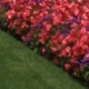 ca-vi-026.jpg