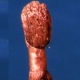 ca-vi-028.jpg