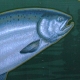 ca-s-002.jpg