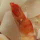 ca-s-006.jpg