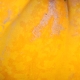 ca-s-022.jpg