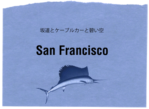 sf_card.png