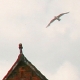 eng-scarboro-7.jpg