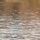eng-york-41.jpg