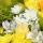 eng-Nottin-26.jpg