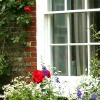 eng-Ely-8.jpg