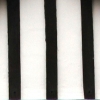 eng-Ely-17.jpg