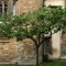 eng-Canbridge-29.jpg