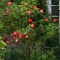 eng-Salisbury-34.jpg