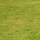 eng-lake-3.jpg