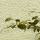 eng-lake-4.jpg