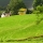 eng-lake-14.jpg