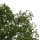 eng-lake-24.jpg