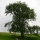 eng-lake-26.jpg