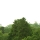 eng-lake-29.jpg