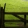 eng-lake-30.jpg