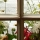 eng-lake-40.jpg