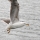 eng-lake-winder-67.jpg