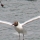 eng-lake-winder-76.jpg