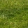 eng-lake-winder-79.jpg