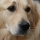 eng-lake-winder-82.jpg