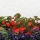 eng-lake-winder-87.jpg