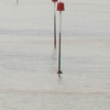 eng-Dover-12.jpg