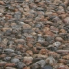 eng-Rye-48.jpg