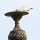 eng-Brighton-15.jpg