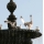 eng-Brighton-18.jpg
