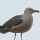 eng-Brighton-19.jpg