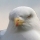 eng-Brighton-39.jpg