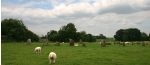 eng-Avebury-16.jpg