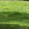 eng-Bourton-33.jpg