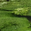 eng-Bibury-1.jpg