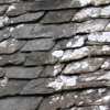 eng-Bibury-11.jpg