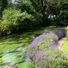 eng-Bibury-21.jpg