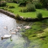 eng-Bibury-28.jpg