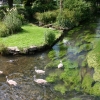 eng-Bibury-29.jpg