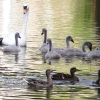 eng-Bibury-32.jpg