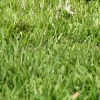 eng-Bibury-34.jpg
